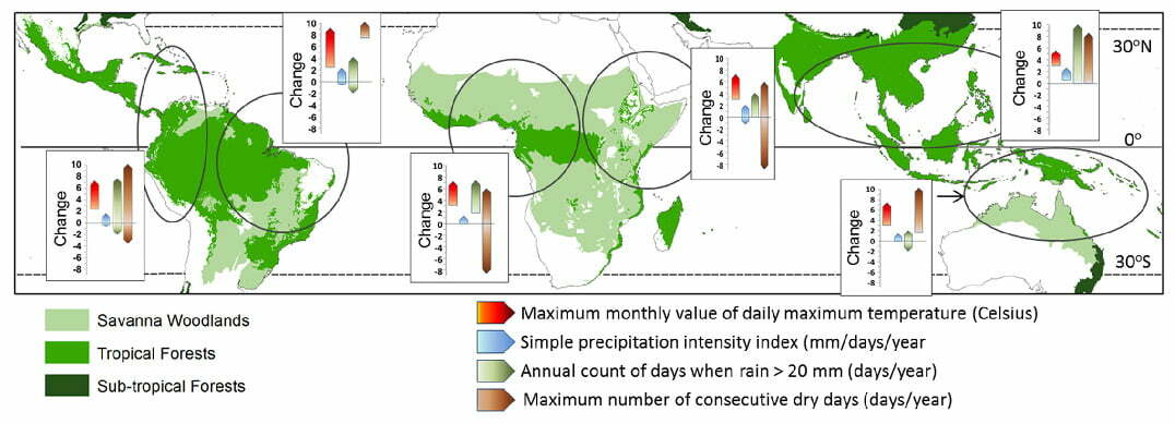 Figure 1: Changes in key climate-extreme variables in six global regions: (l-r) Western Latin America; the Amazon basin; West Africa; East Africa; southern India & Southeast Asia; Australasia. The scale of change on the y-axis varies between -8 and +10 and relates to the relevant variable eg, °C for temperature or number of days for rainfall > 20 mm per day. The information is derived from the CMIP5 climate extremes ensemble data for ‘business-as-usual’ RCP 8.5 scenario, 1980-2000 compared with 2080-2100 for: Annual maximum value of daily maximum temperature (Celsius); Simple precipitation intensity index (mm/days/year); Annual count of days when rain > 20 mm (days/year); Maximum number of consecutive dry days (days/year).
