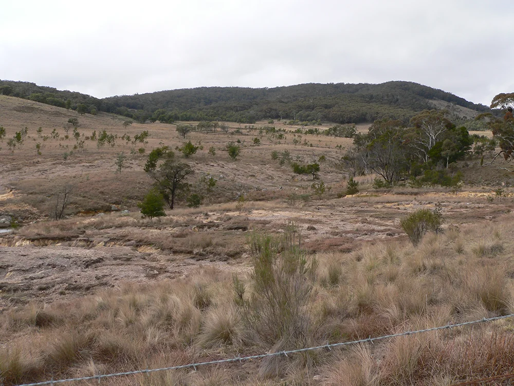 With funding from Greening Australian and the Lachlan Catchment Management Authority, Margie fenced off this riparian area during 2007 and spread hay bales on the eroded areas during 2012 to act as a mulch and encourage the establishment of some ground cover.