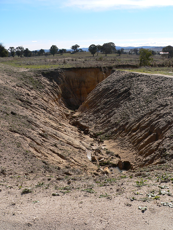 Becoming involved in the Rivers of Carbon project has enabled the repair of some severely eroded gullies on the McCormack’s property Mt Henry, which they purchased in 2009.