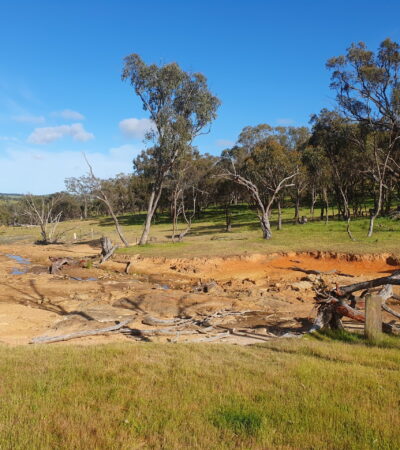 Managing erosion to protect water quality and enhance biodiversity