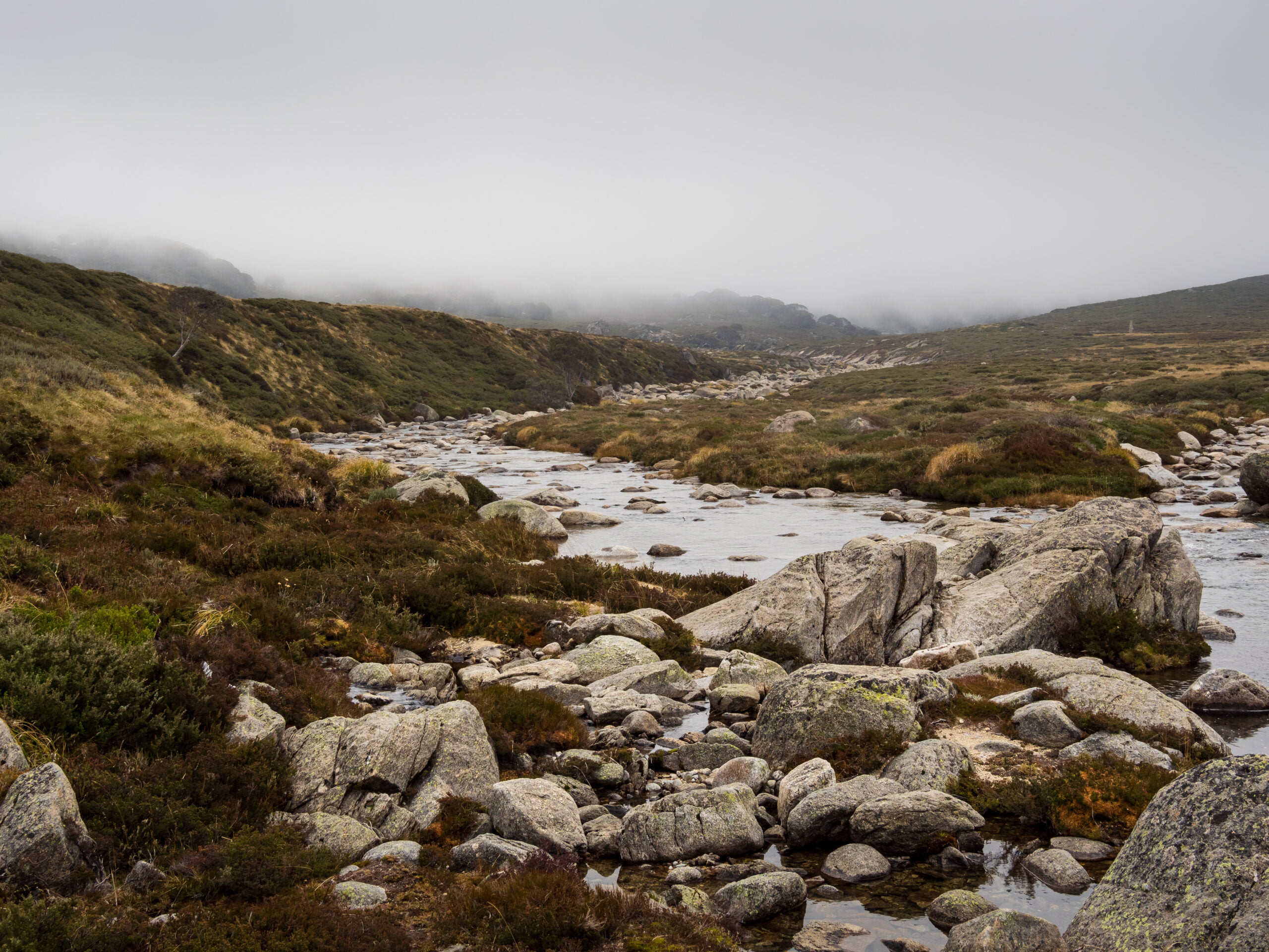 A moody photograph of the Snowy River on a misty morning.