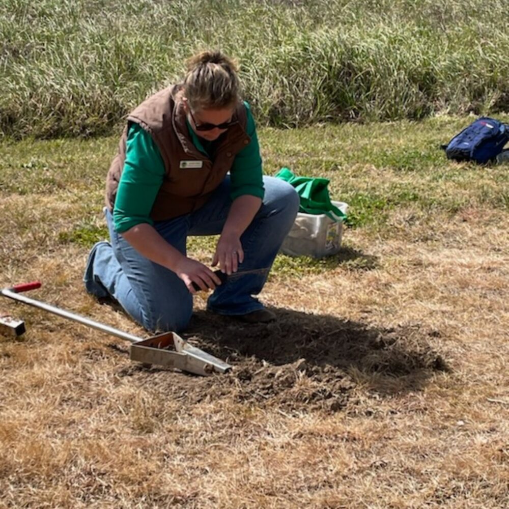 Planting demonstration with Amber Kelly